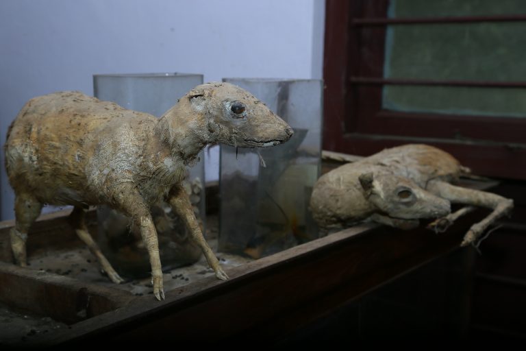 Laboratories – Kumbalathu Sankupillai Memorial Devaswom Board College